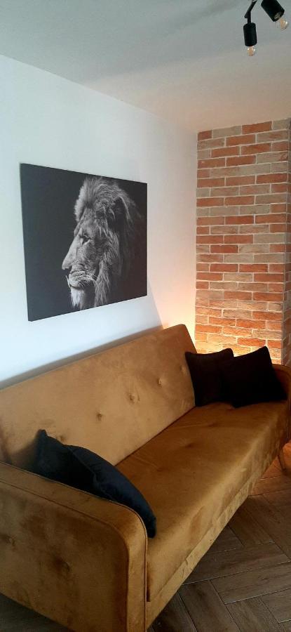 Ric Apartment بودفا المظهر الخارجي الصورة
